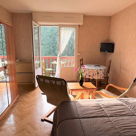 Charmant T1 Bis A Cambo-Les-Bains Avec Balcon, Ascenseur Et Parking - Fr-1-495-31 Εξωτερικό φωτογραφία